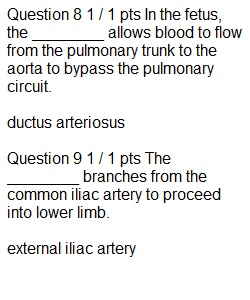 Lecture Exam 6